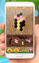 Wood Block Puzzle Classic Pro截图4