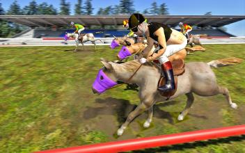 Play Horse Racing Game截图1