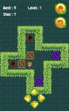 Push Box Garden Puzzle Games: Sokoban Puzzles截图2