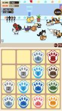 Cat home 2048截图2