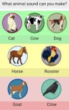 Animal Voice截图2