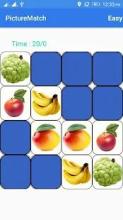 Picture Match - Brain Game截图4