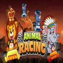 Animal Race: Run截图2