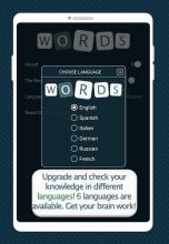 Fill The Wodrs - word search (words game)截图1