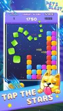 Pets Blast截图2