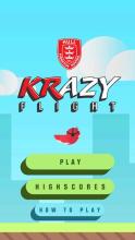 KRazy Flight截图2