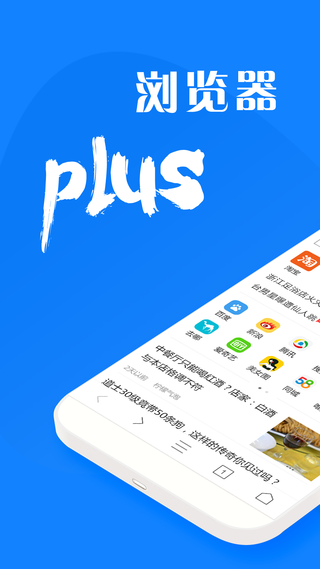 浏览器plusv1.0.4截图1