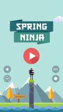 Spring Ninja截图2