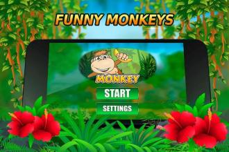 Funny monkey boom截图2