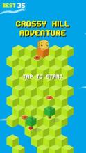 Crossy Hill Adventure截图2