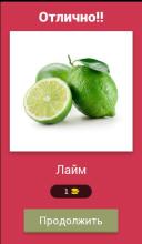 Guess the Fruit in Russian截图1