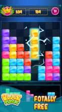 Block puzzle Classic: Puzzle game 2019截图1