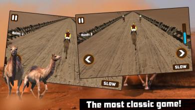 Camel Racing截图2