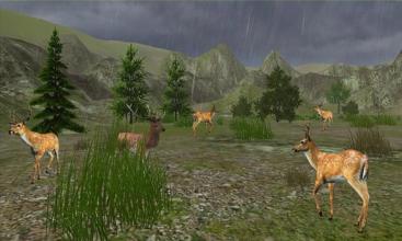 Jungle Commando Animal Hunting截图2