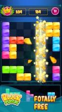 Block puzzle Classic: Puzzle game 2019截图2