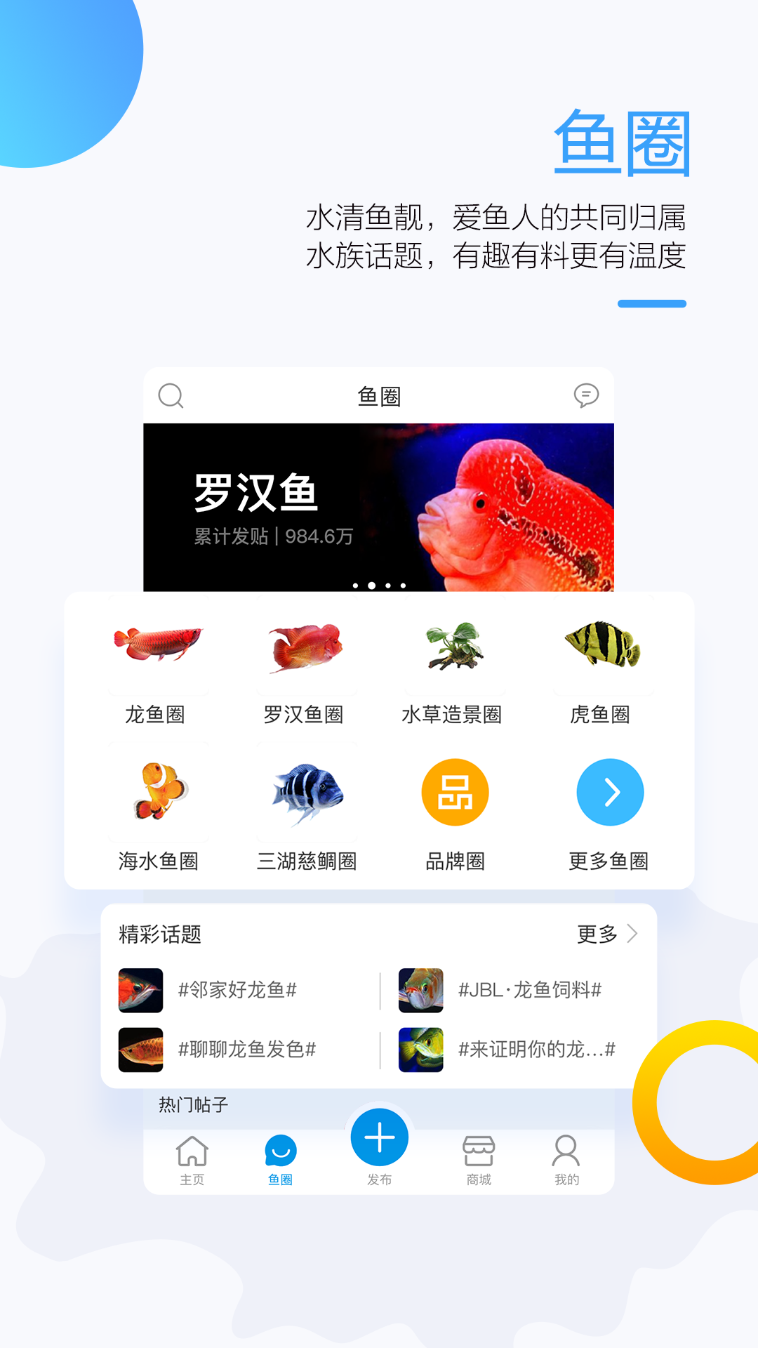 龙巅鱼邻v2.0.1截图3