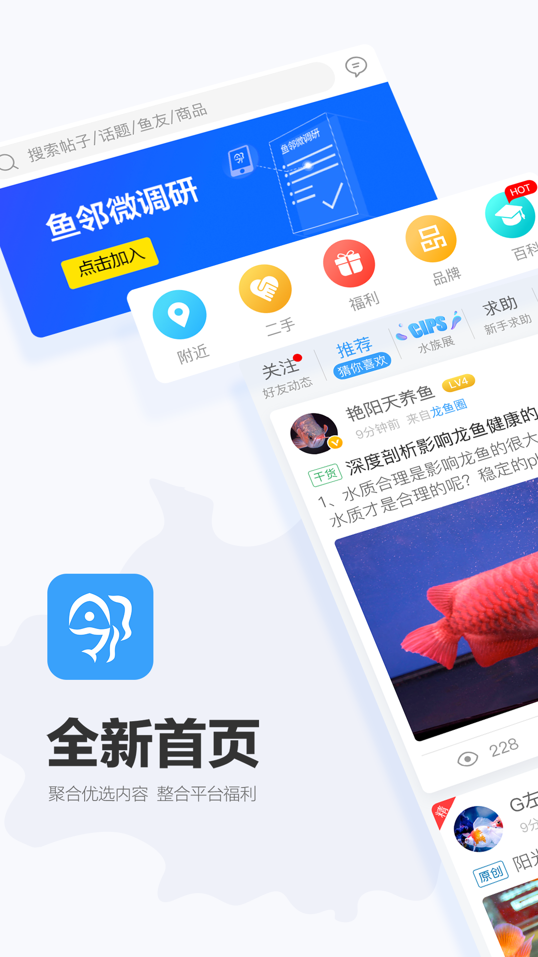 龙巅鱼邻v2.0.1截图1