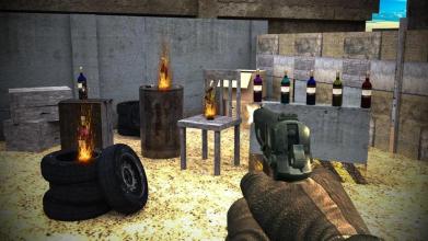 Bottle Shooting Gun Master Freegame截图1