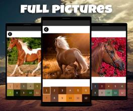 Color by Number: Horse Pixel Art Game截图1