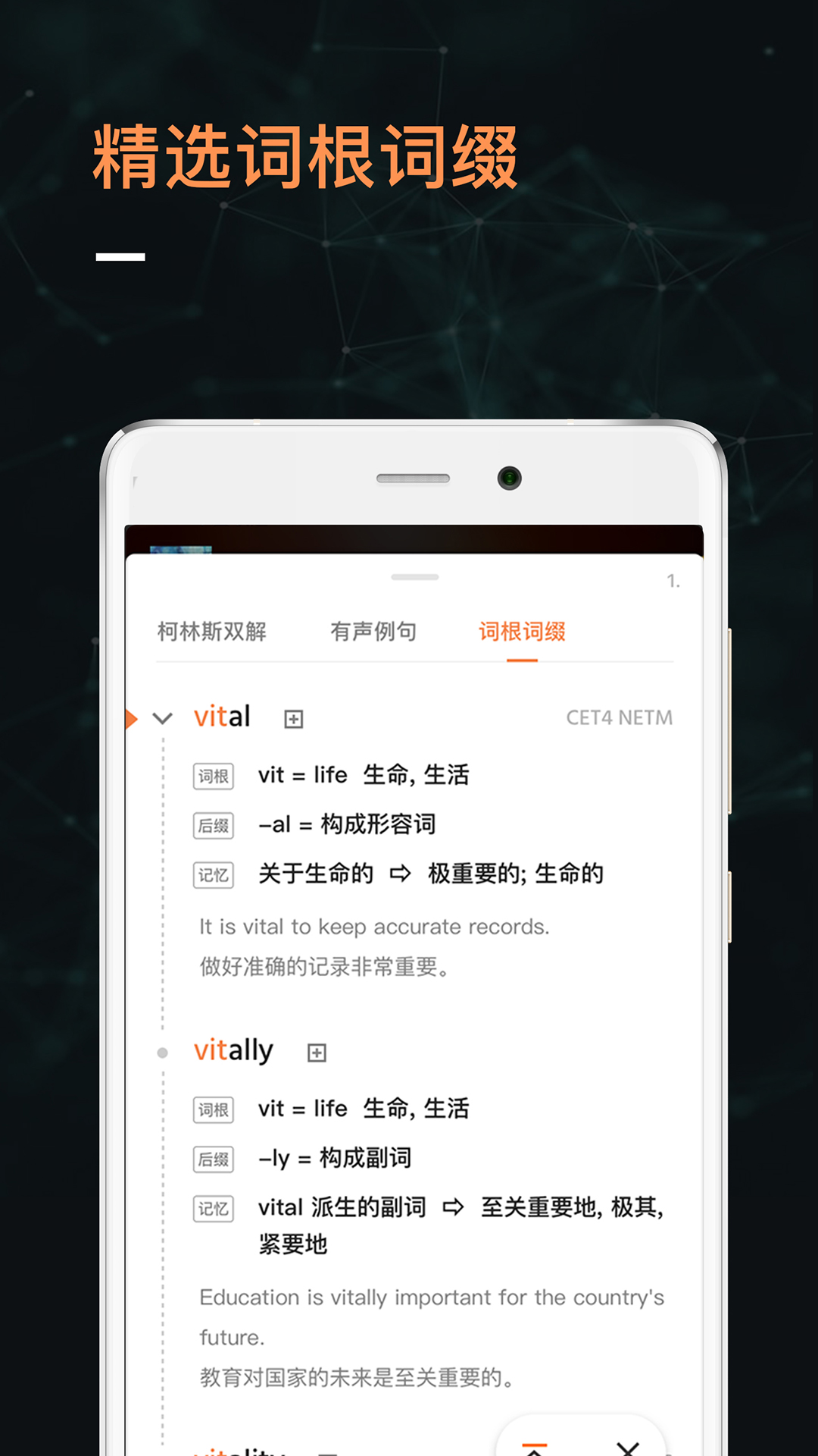 不背单词v2.4截图4