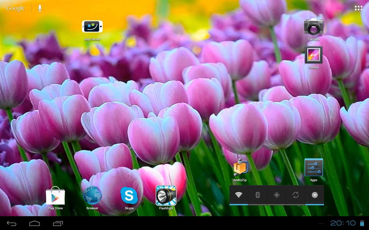 3D Free Springtime Tulips Carpet HD Live Wallpaper截图9