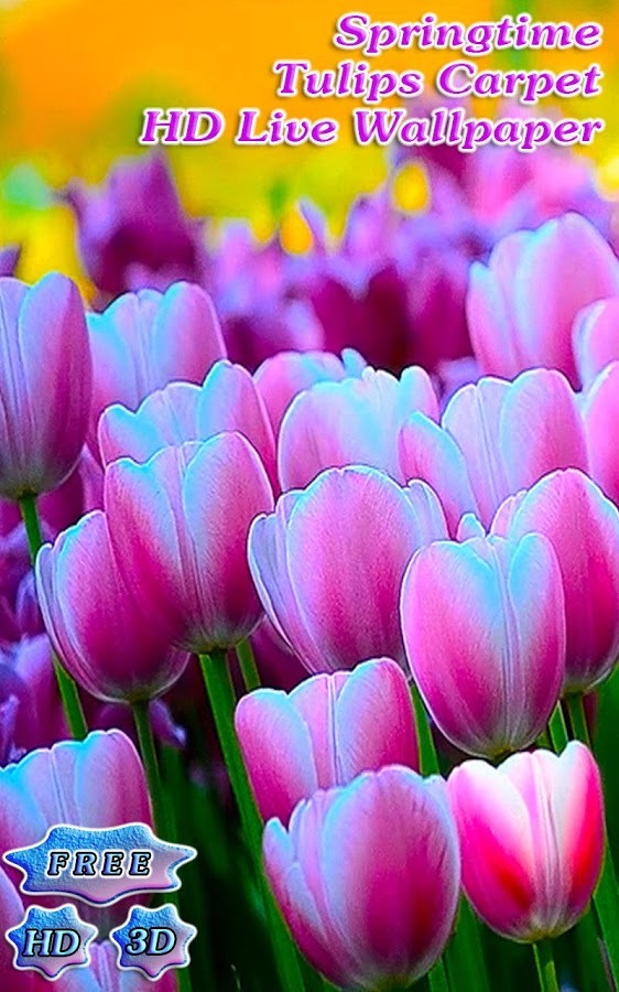 3D Free Springtime Tulips Carpet HD Live Wallpaper截图5