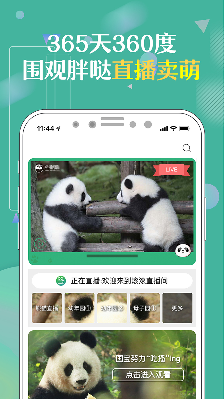 熊猫频道v2.1.1截图1