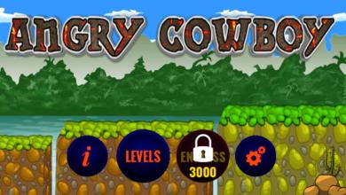 Angry CowBoy截图1