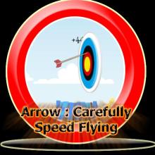 Arrow : Flying Carefully截图2