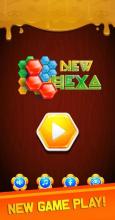 Advanced Block Hexa Puzzle 2019截图2