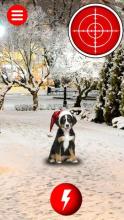 Christmas Dogs GO截图1