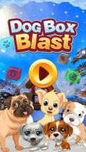 Dog Box Blast截图2