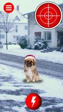 Christmas Dogs GO截图2