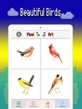 Birds color number: Pixel art bird coloring 2019截图4