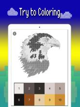 Birds color number: Pixel art bird coloring 2019截图3