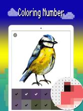 Birds color number: Pixel art bird coloring 2019截图2