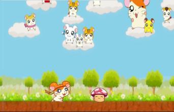 GO hamtaro rum - aventura截图1