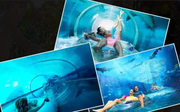 Water Slide Tube Game截图3