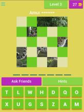 Endangered Species Guess Game截图1