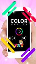 Color Valley Master截图5