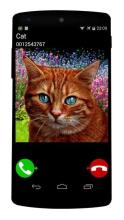 fake call cat game截图3