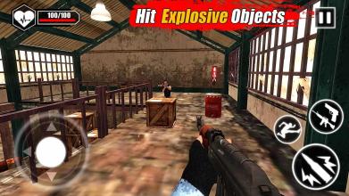 Pacific Shooter 3D : IGI Military Shooting Games截图1