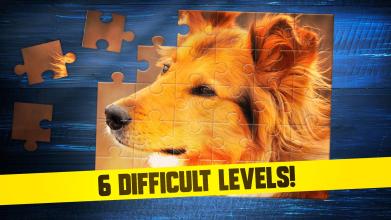 Puppy Dogs Jigsaw Puzzles截图3