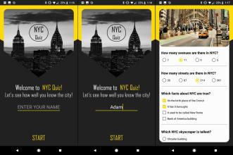 NYC Quiz截图1