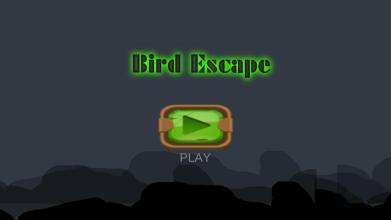 Bird Escapes截图3