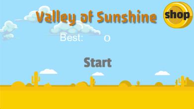 Valley of Sunshine截图3