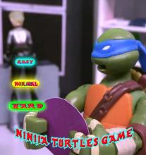 Hero Ninja Shadows Turtle's Puzzle Games Free截图2