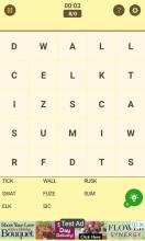 Global Word Search截图2