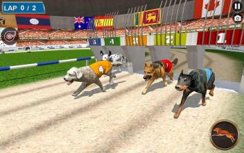 Real Dog Racing Tournament截图5