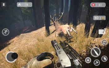 Deer Hunting 2019 - Professional Hunter截图1